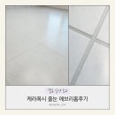 줄눈 케라폭시 시공 내돈내산 에브리홈후기 (장단점 &amp; 팀장님 정보 있어요)