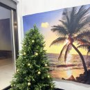 천리스테이풀빌라 이미지