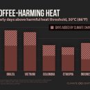 코리아앤베트남카페 이미지
