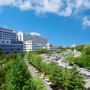 강릉아산병원 이미지