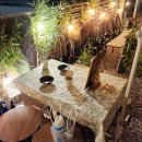 라라와 케이 이미지