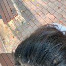 신곡모터스 | [잔나비 콘서트] 이게.. 시제석이 아니라고? 양심 어디에..