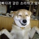 비타민활력소