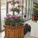 조이플라자 이미지