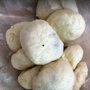 생활의 달인 진주 찐빵 찹쌀떡 달인 70년 노포 수복빵집 위치