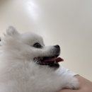 동물병원 비헤이브 이미지