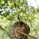 심기동 김밥 이미지