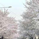 희우정로 40 네이버블로그