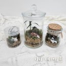 플라워캠핑장 | [가든 앤 플라워] 미니 테라리움 만들기 후기