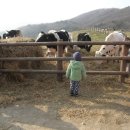 도훈농장 이미지