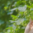 이종원 농장 이미지