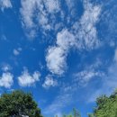 여흥민씨부조묘 이미지