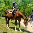 산림놀이 이미지