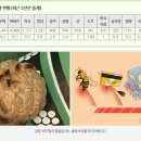 벌떼화장품