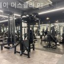 스테이 머스큘라 이미지