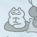 TIC TOK 이미지