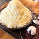 [용인 수지/수지구청 카페] 빙수 맛집 카페 레아 0306 내돈내산 🍧
