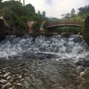 악근천 | 제주도 속골 운영 중단 / 제주도 계곡 식당 악근천 후기 / 핫하다 핫해! 김녕 세기알 해변 저녁 풍경
