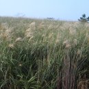 농사체험야영장 이미지