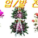 하얀 노래연습장 이미지