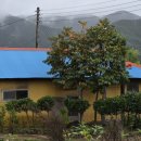 옻나무집 이미지