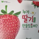 자연이랑 | 아람북스 - 자연이랑 내돈내산 3년 사용 후기