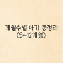 [육아공부] 5~12개월 아기 개월수별 키,몸무게/수유,수면패턴/발달사항/주의사항 총정리