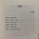 요이 이미지