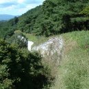 성보축산 이미지