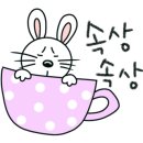 일루아 카페 이미지