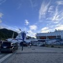 울릉벚꽃 이미지