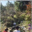 도담아이어린이집 이미지