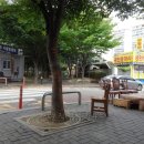 푸른길부동산공인중개사사무소 이미지