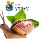 김선주농장 Daum카페