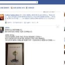 뉴스피드