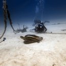 바다와 하루이틀 | 오키나와 다이빙 후기 2·3일차｜흐린 날씨 속 솔직한 바다 이야기 + 국제거리 먹방 여행