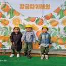 도윤농장 이미지