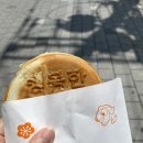 [일상로그] 벌써 한해의 절반? 구라갓튼데✨