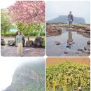 관곶 | 제주도 2박 3일 여행코스 4월 가볼만한곳 정리