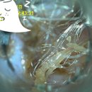 훈동물병원 이미지