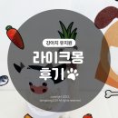 라이크몽 | 부산 연제구 연산동 강아지 유치원 반려견 놀이터 라이크몽 리얼후기