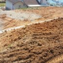 송림 태양광발전소 이미지