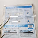 크린토피아코인워시일산