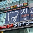 라곰치과의원 네이버블로그