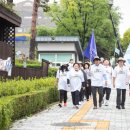 서구-50 서울일보