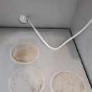 우동 롯데아파트 앞) 이미지