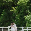 식열목장 | 웨딩스냅촬영 :: 사계절 스냅 중 여름 컷 우리들의 웨딩 준비