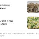 강서• 타코깡패 우장산 송화시장 본점 포장 방문 후기