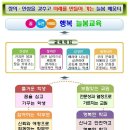 도담동늘봄초등학교 이미지