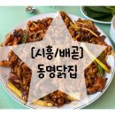 [시흥/배곧] 너무 먹어보고싶었던 동명닭집 내돈내산후기